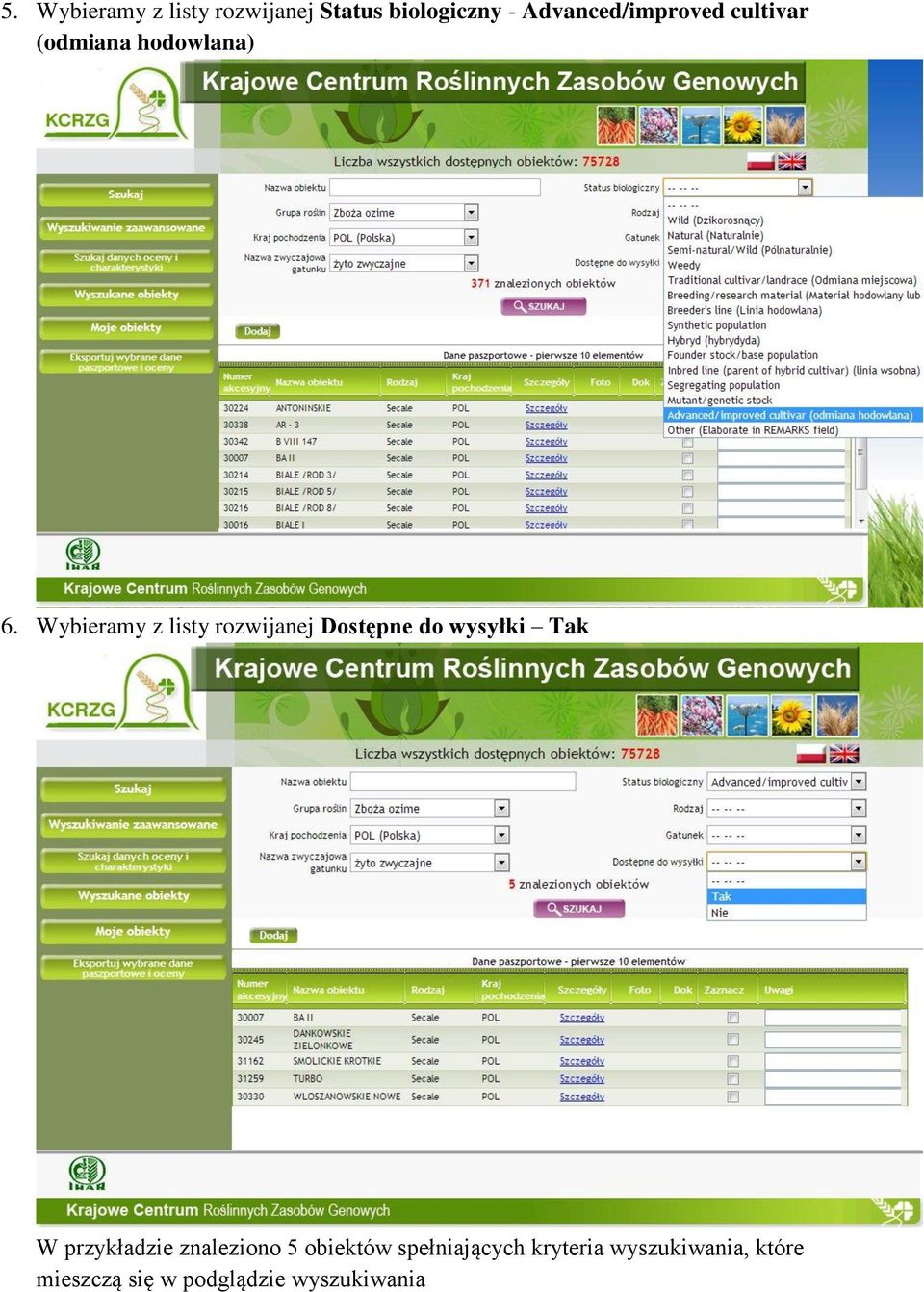 Wybieramy z listy rozwijanej Dostępne do wysyłki Tak W przykładzie