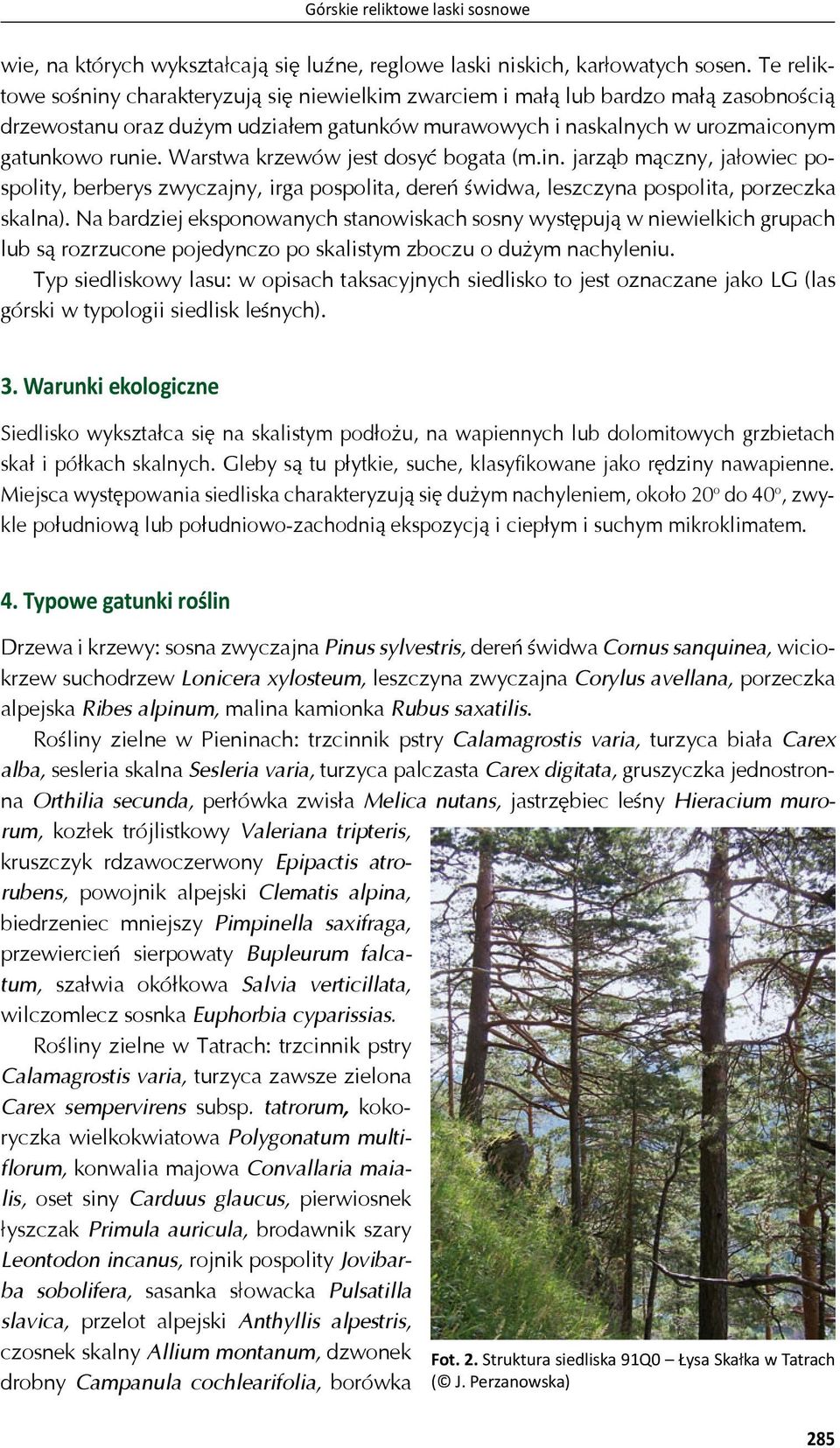 Warstwa krzewów jest dosy bogata (m.in. jarz b m czny, ja owiec pospolity, berberys zwyczajny, irga pospolita, dere widwa, leszczyna pospolita, porzeczka skalna).