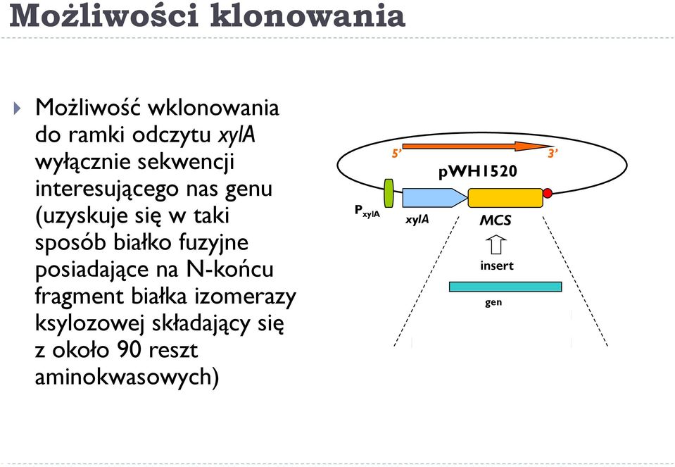 posiadające na N-końcu fragment białka izomerazy ksylozowej składający się z