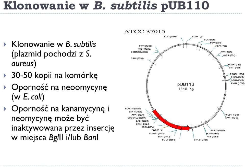 aureus) 30-50 kopii na komórkę Oporność na neoomycynę (w E.