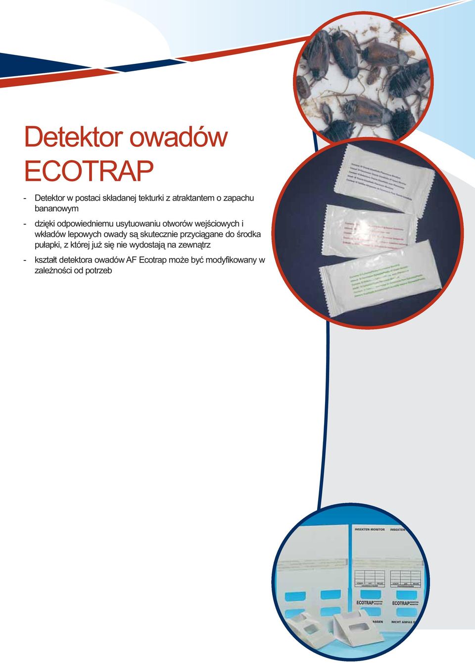 owady są skutecznie przyciągane do środka pułapki, z której już się nie wydostają na