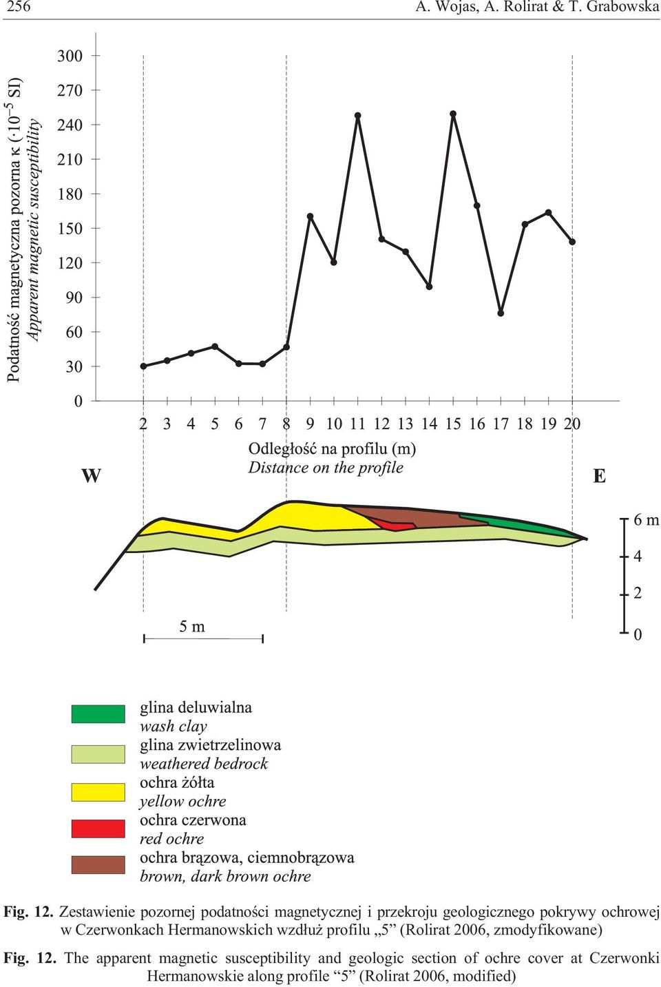 Czerwonkach Hermanowskich wzd³u profilu 5 (Rolirat 2006, zmodyfikowane) Fig. 12.