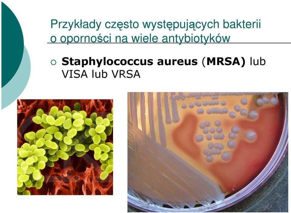 oporności na wiele