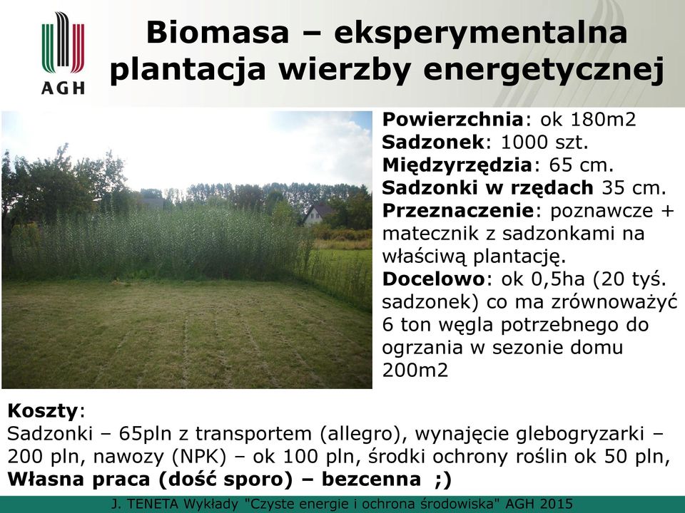 sadzonek) co ma zrównoważyć 6 ton węgla potrzebnego do ogrzania w sezonie domu 200m2 Koszty: Sadzonki 65pln z transportem (allegro), wynajęcie