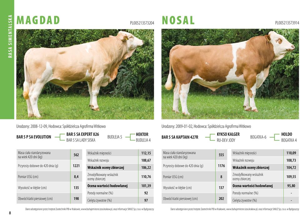 562 Przyrosty dobowe do 420 dnia (g) 1221 Pomiar USG (cm) 8,4 Wysokość w kłębie (cm) 135 Obwód klatki piersiowej (cm) 198 Wskaźnik mięsności 112,15 Wskaźnik rozwoju 108,67 Wskaźnik oceny zbiorczej