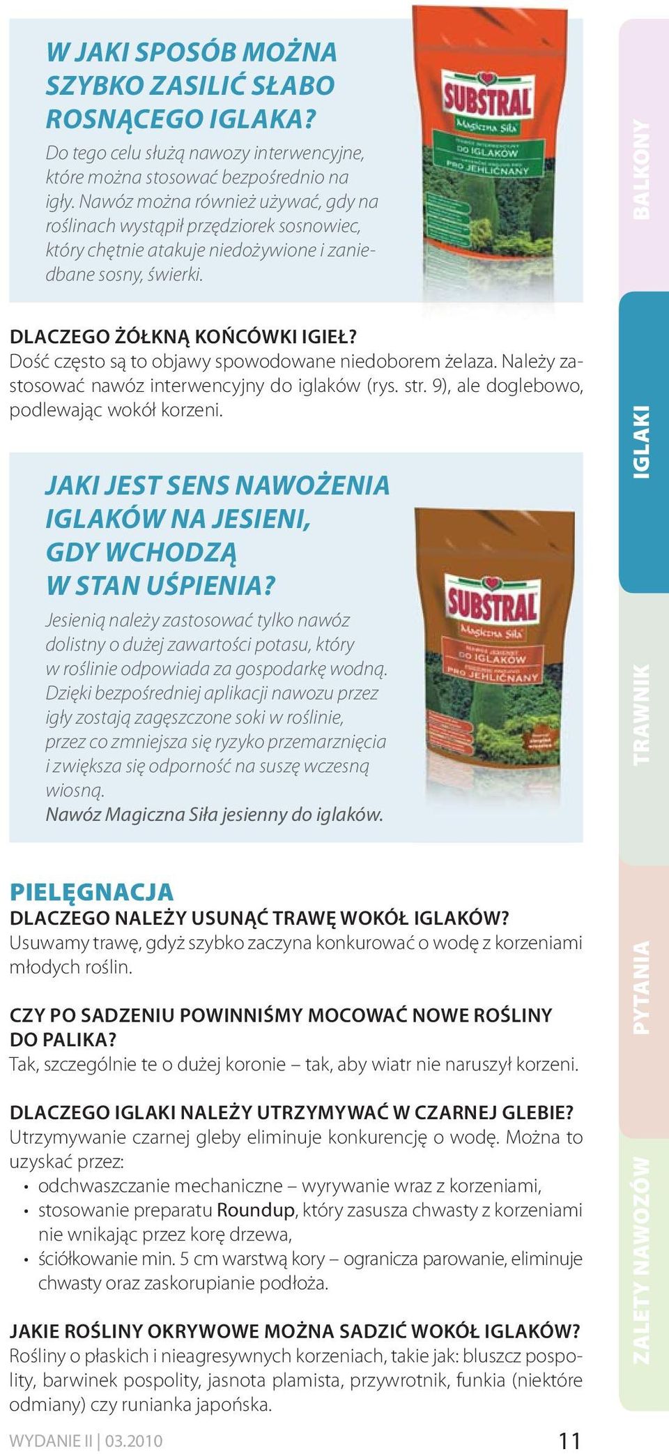 Dość często są to objawy spowodowane niedoborem żelaza. Należy zastosować nawóz interwencyjny do iglaków (rys. str. 9), ale doglebowo, podlewając wokół korzeni.