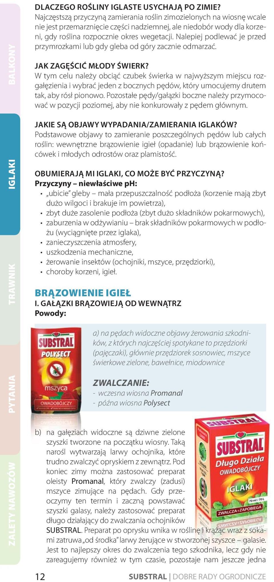 Nalepiej podlewać je przed przymrozkami lub gdy gleba od góry zacznie odmarzać. JAK ZAGĘŚCIĆ MŁODY ŚWIERK?