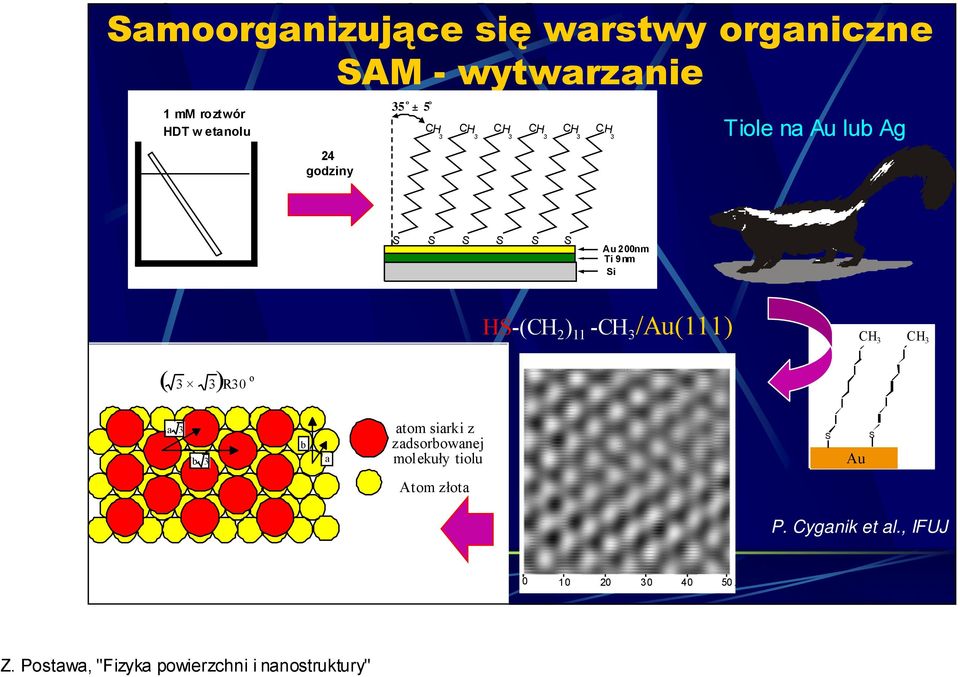 Ti 9nm Si HS-(CH 2 ) 11 -CH 3 /Au(111) CH 3 CH 33 ( 3 3) R30 o a 3 b 3 b a atom siarki z