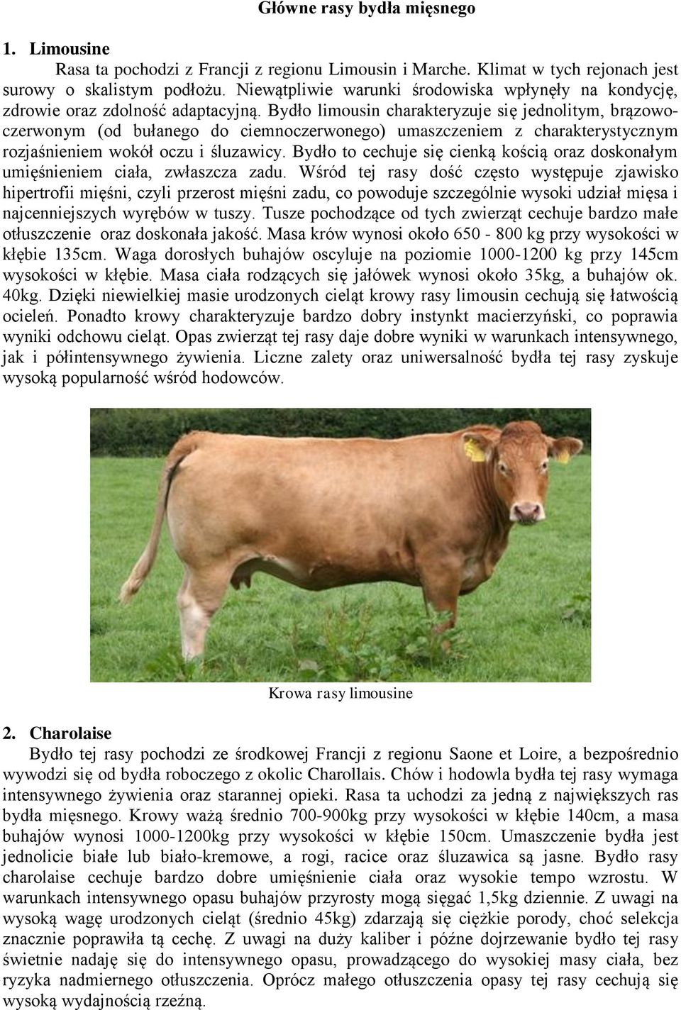 Główne rasy bydła mięsnego - PDF Darmowe pobieranie