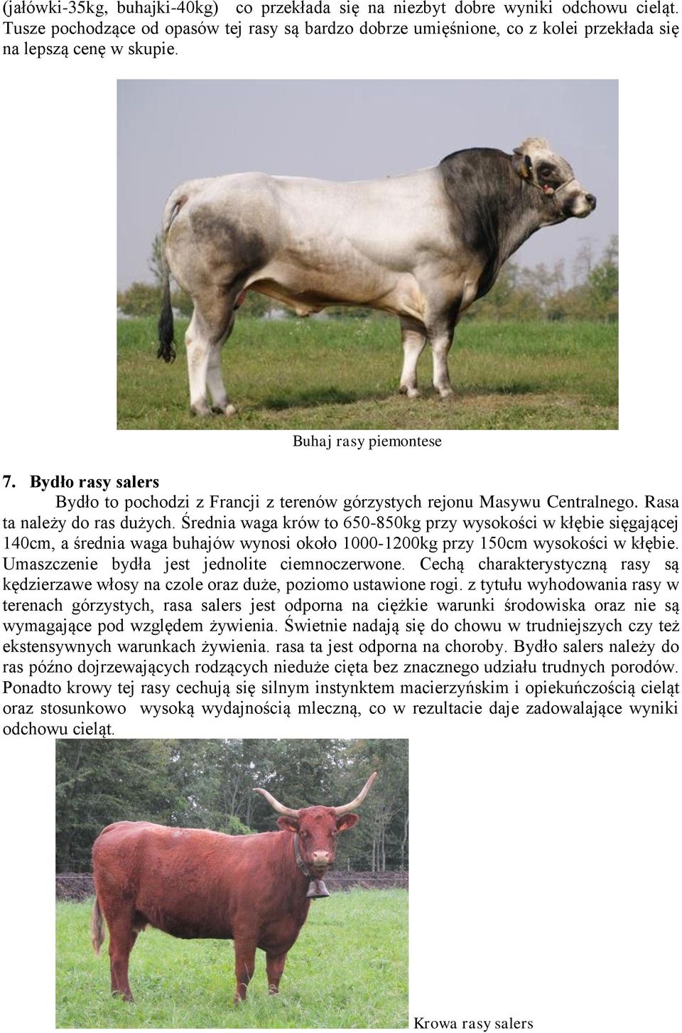Średnia waga krów to 650-850kg przy wysokości w kłębie sięgającej 140cm, a średnia waga buhajów wynosi około 1000-1200kg przy 150cm wysokości w kłębie. Umaszczenie bydła jest jednolite ciemnoczerwone.