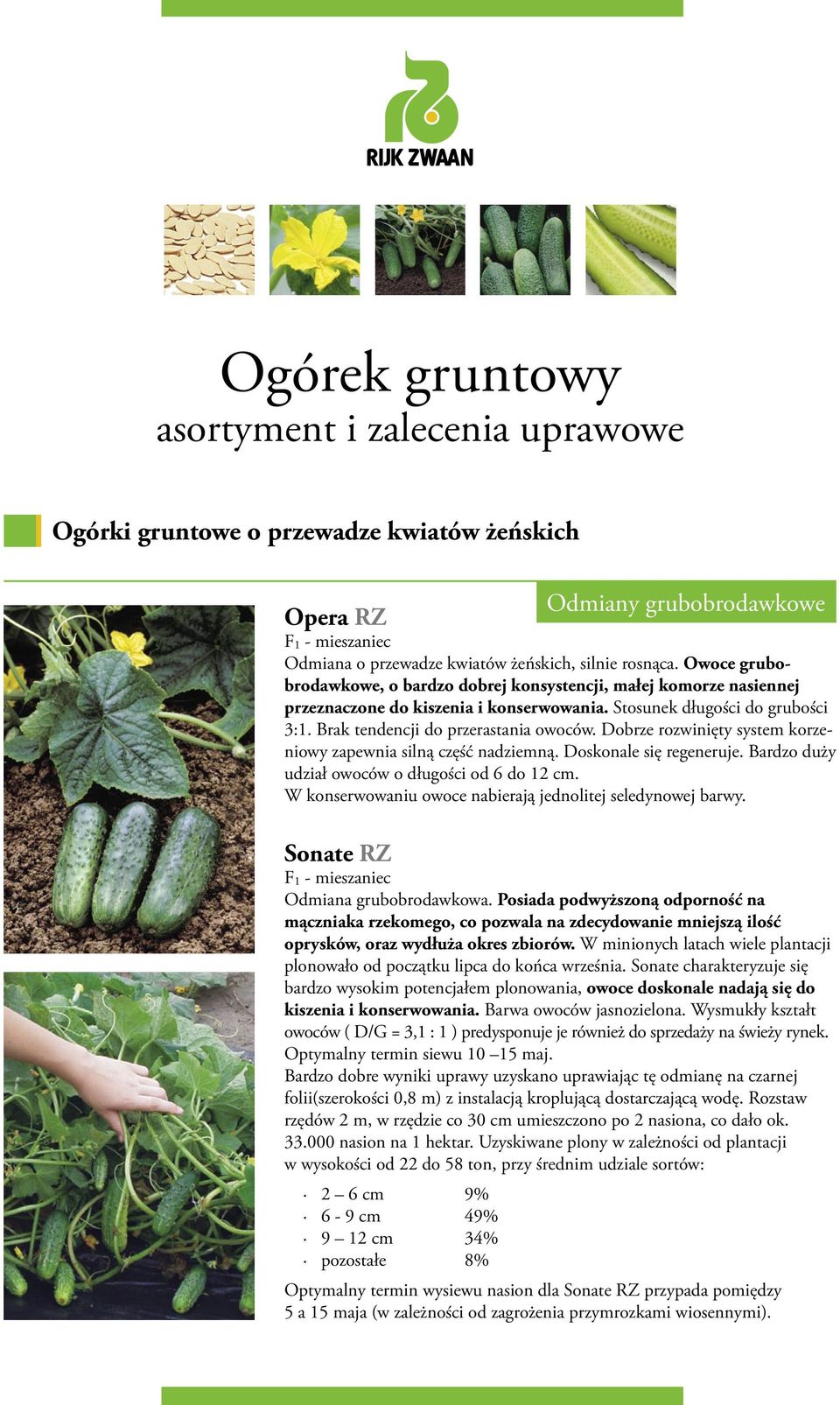 Dobrze rozwinięty system korzeniowy zapewnia silną część nadziemną. Doskonale się regeneruje. Bardzo duży udział owoców o długości od 6 do 12 cm.