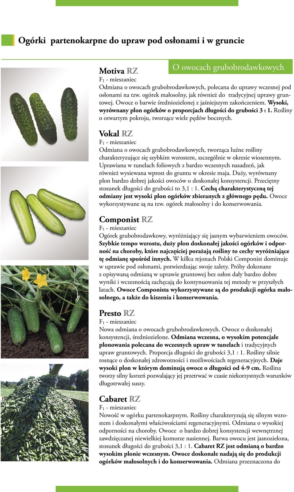 Rośliny o otwartym pokroju, tworzące wiele pędów bocznych. Vokal RZ Odmiana o owocach grubobrodawkowych, tworząca luźne rośliny charakteryzujące się szybkim wzrostem, szczególnie w okresie wiosennym.