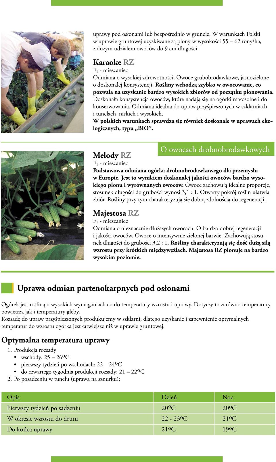 Rośliny wchodzą szybko w owocowanie, co pozwala na uzyskanie bardzo wysokich zbiorów od początku plonowania. Doskonała konsystencja owoców, które nadają się na ogórki małosolne i do konserwowania.