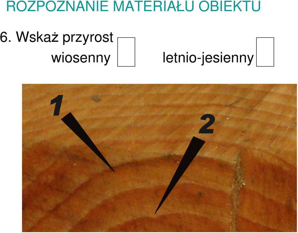 6. Wskaż przyrost