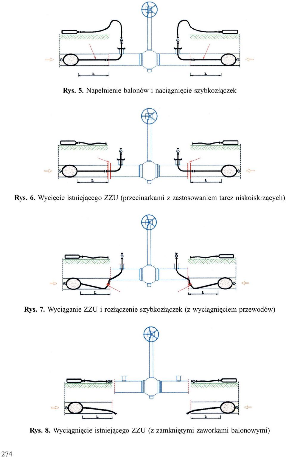 niskoiskrz¹cych) Rys. 7.
