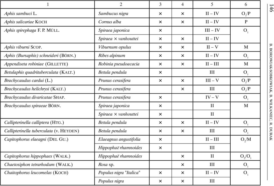 ) Betula pendula III O 1 Brachycaudus cardui (L.) Prunus cerasifera III V O 1 Brachycaudus helichrysi (KALT.) Prunus cerasifera III O 1 Brachycaudus divaricatae SHAP.