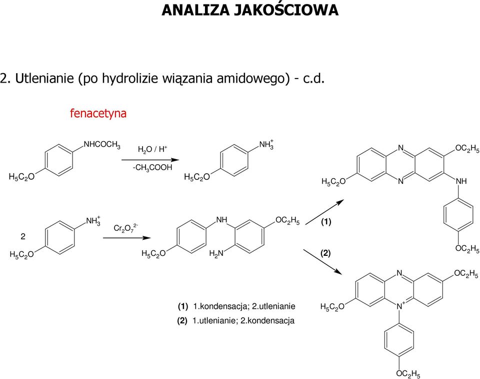 olizie wiązania amido