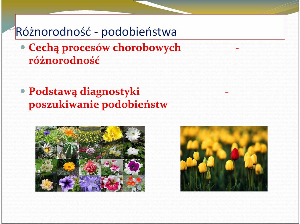 różnorodność Podstawą