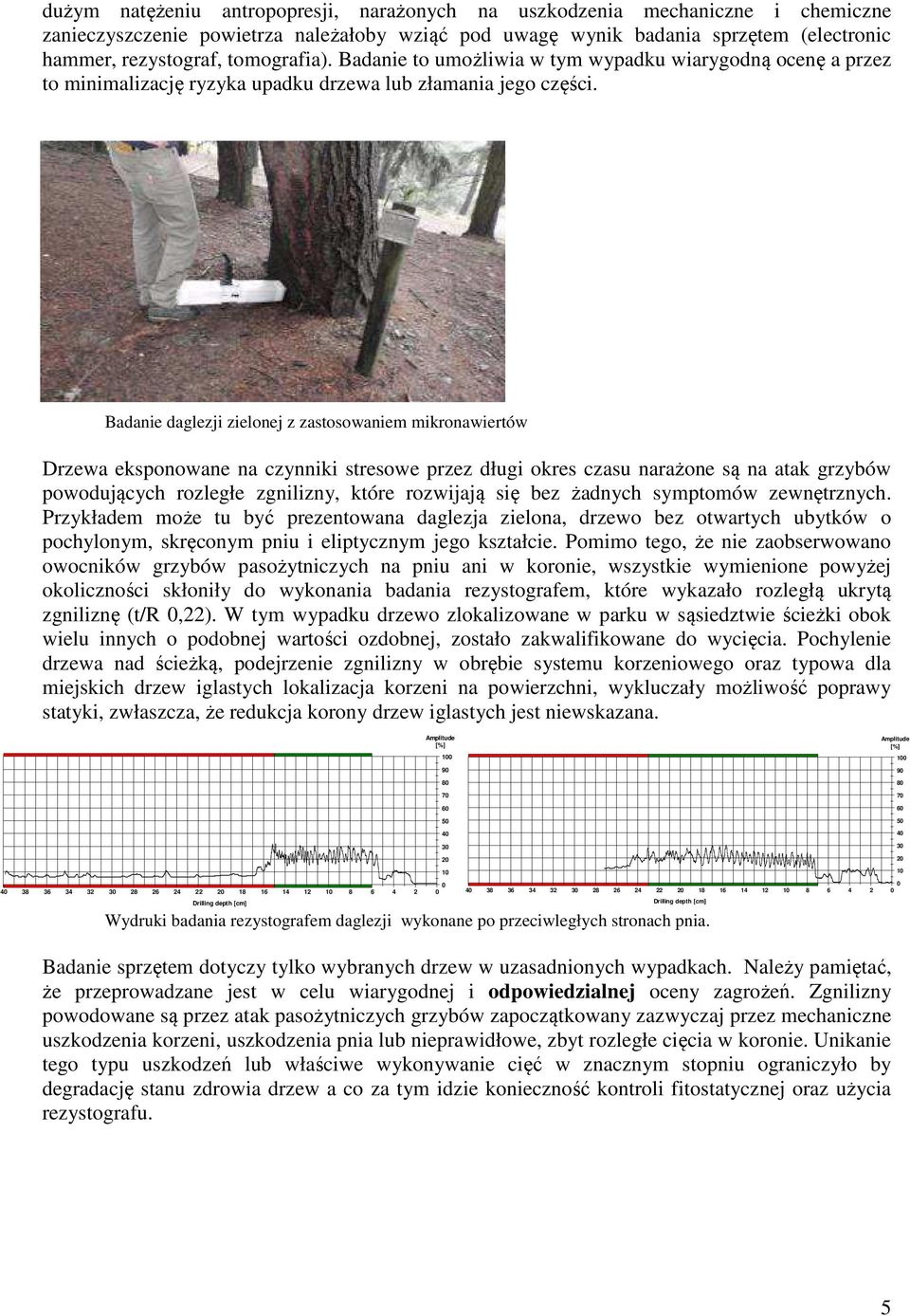 Badanie daglezji zielonej z zastosowaniem mikronawiertów Drzewa eksponowane na czynniki stresowe przez długi okres czasu narażone są na atak grzybów powodujących rozległe zgnilizny, które rozwijają
