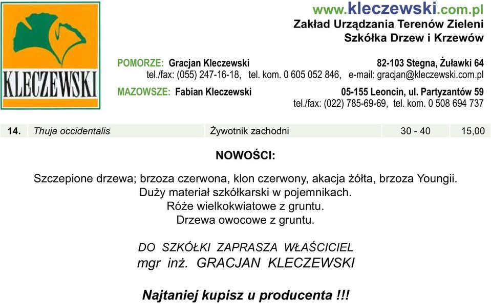 Duży materiał szkółkarski w pojemnikach. Róże wielkokwiatowe z gruntu.