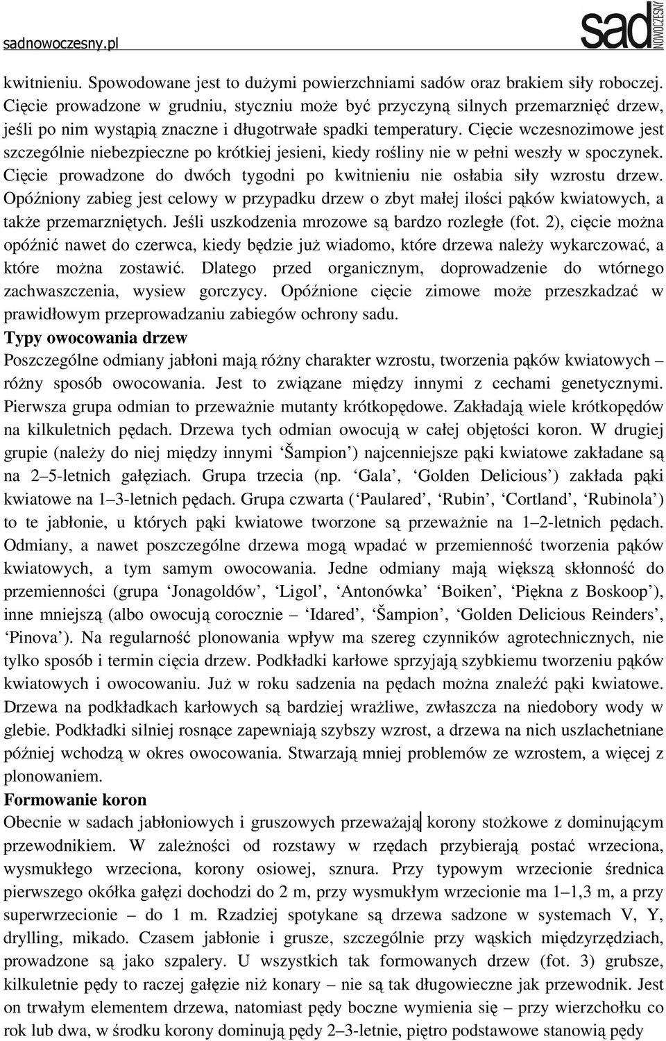 Cięcie wczesnozimowe jest szczególnie niebezpieczne po krótkiej jesieni, kiedy rośliny nie w pełni weszły w spoczynek. Cięcie prowadzone do dwóch tygodni po kwitnieniu nie osłabia siły wzrostu drzew.