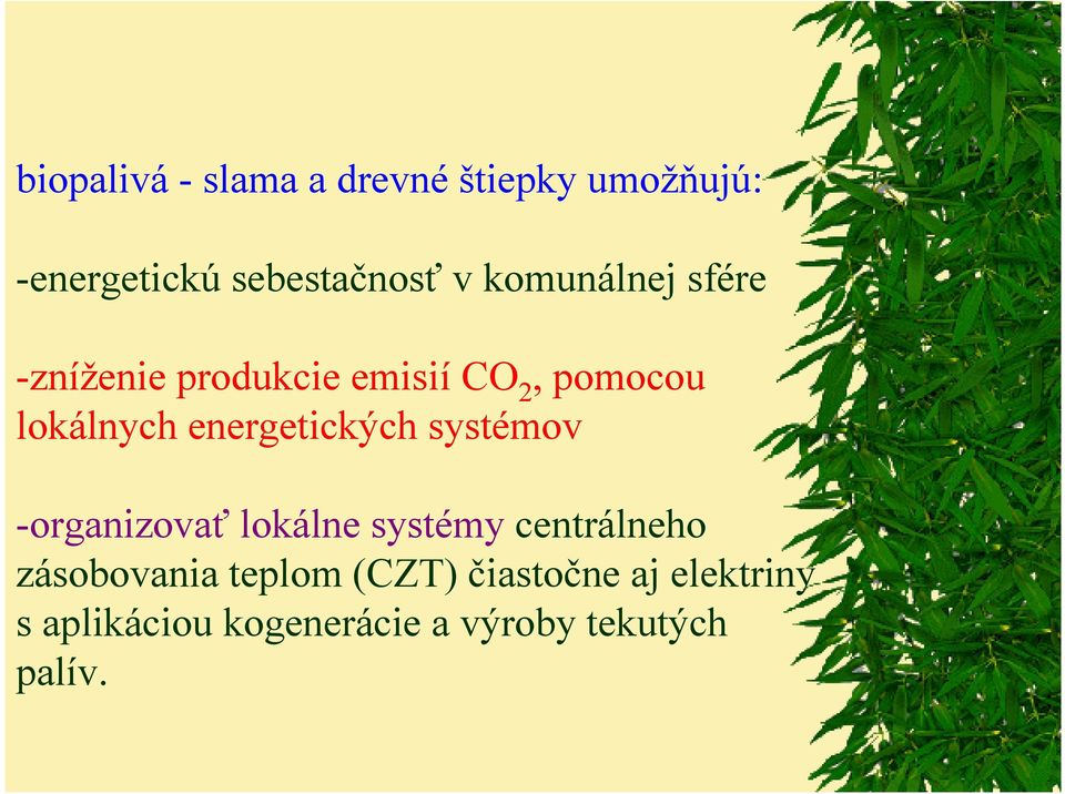 energetických systémov -organizovať lokálne systémy centrálneho
