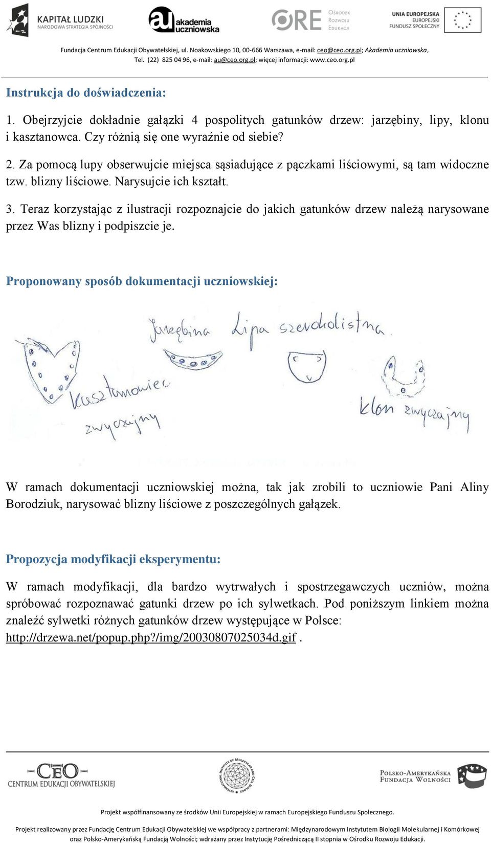 Teraz korzystając z ilustracji rozpoznajcie do jakich gatunków drzew należą narysowane przez Was blizny i podpiszcie je.