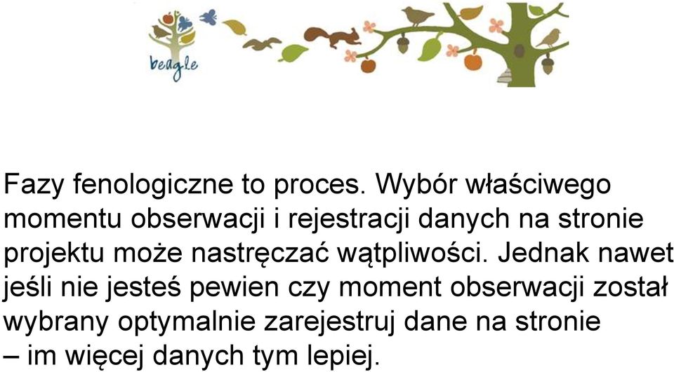 projektu może nastręczać wątpliwości.