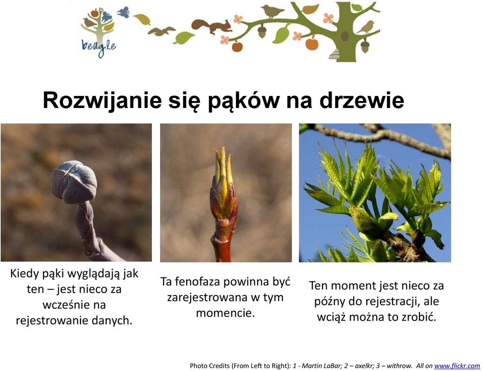 Ten moment jest nieco za późny do rejestracji, ale wciąż można to zrobid.