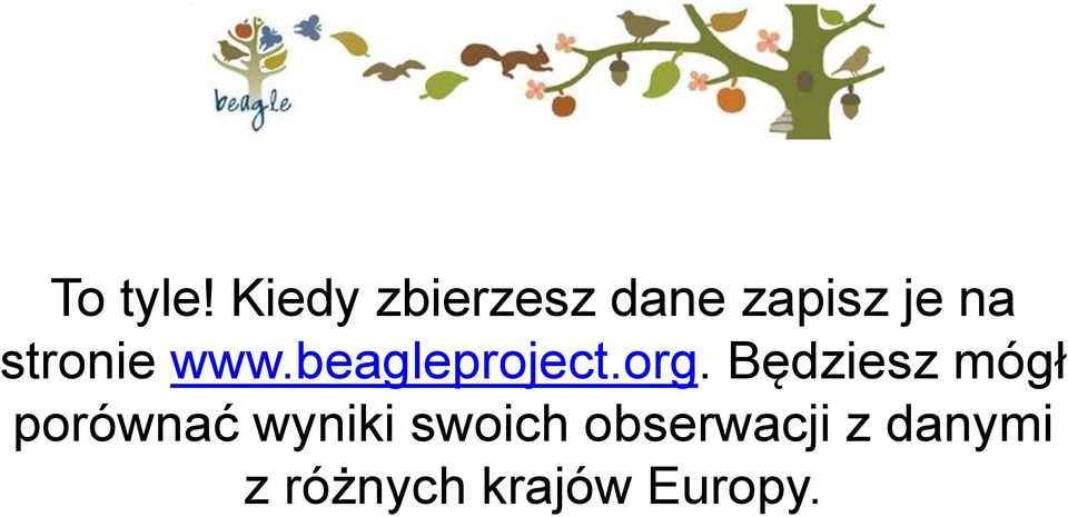stronie www.beagleproject.org.
