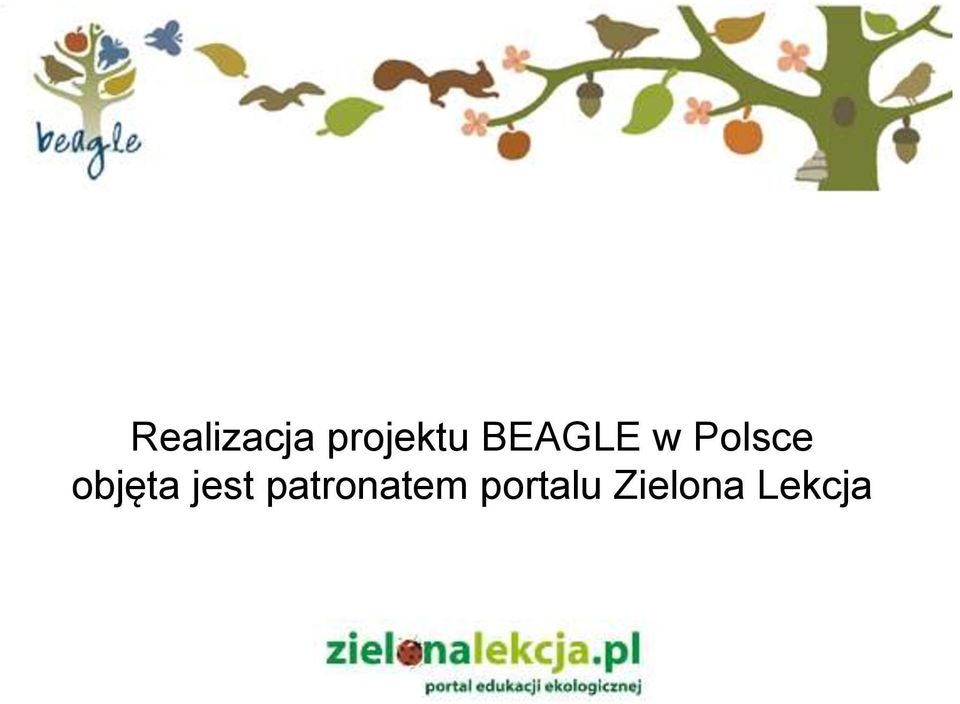 objęta jest