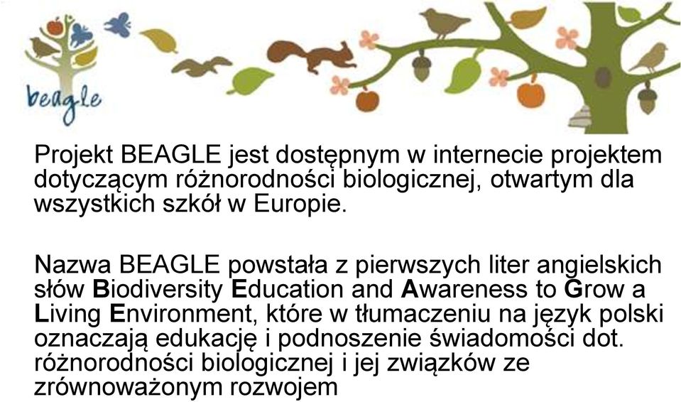 Nazwa BEAGLE powstała z pierwszych liter angielskich słów Biodiversity Education and Awareness to Grow