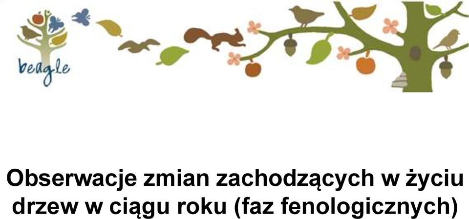 życiu drzew w ciągu