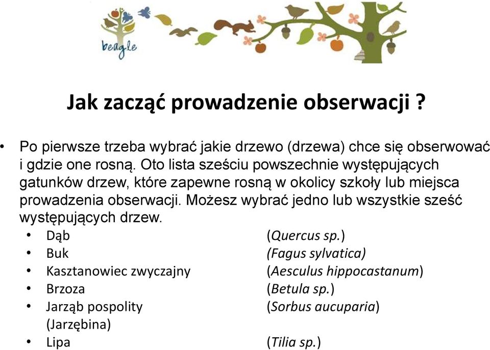 obserwacji. Możesz wybrać jedno lub wszystkie sześć występujących drzew. Dąb (Quercus sp.