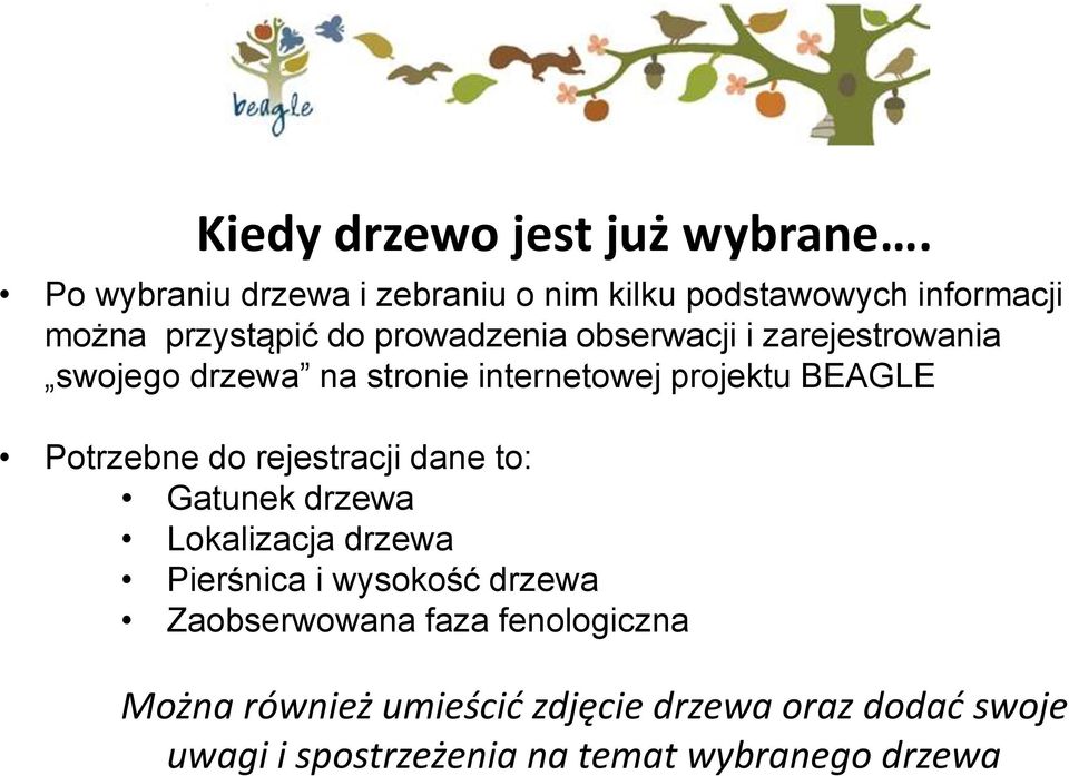 zarejestrowania swojego drzewa na stronie internetowej projektu BEAGLE Potrzebne do rejestracji dane to: