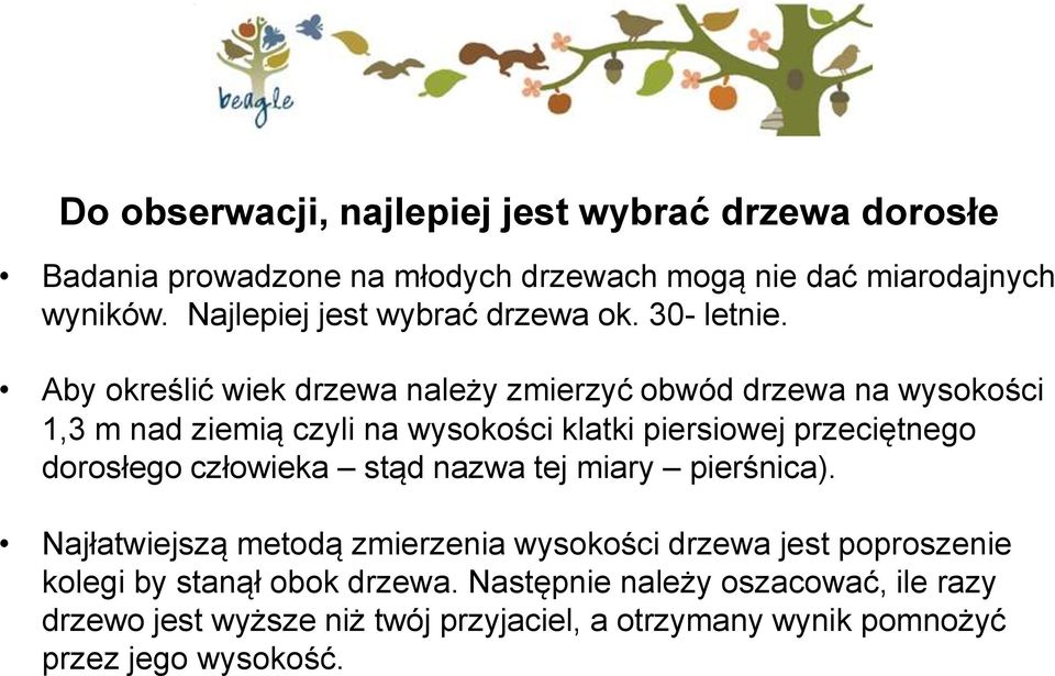 Aby określić wiek drzewa należy zmierzyć obwód drzewa na wysokości 1,3 m nad ziemią czyli na wysokości klatki piersiowej przeciętnego dorosłego