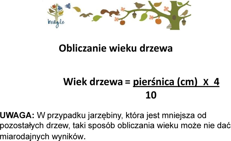 jest mniejsza od pozostałych drzew, taki sposób