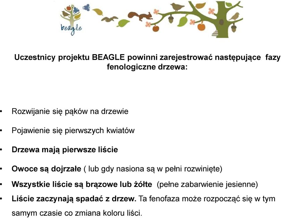 gdy nasiona są w pełni rozwinięte) Wszystkie liście są brązowe lub żółte (pełne zabarwienie jesienne)