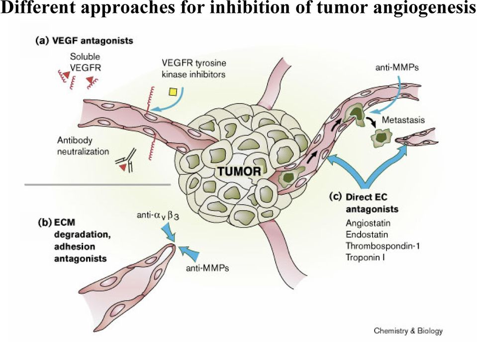 inhibition of