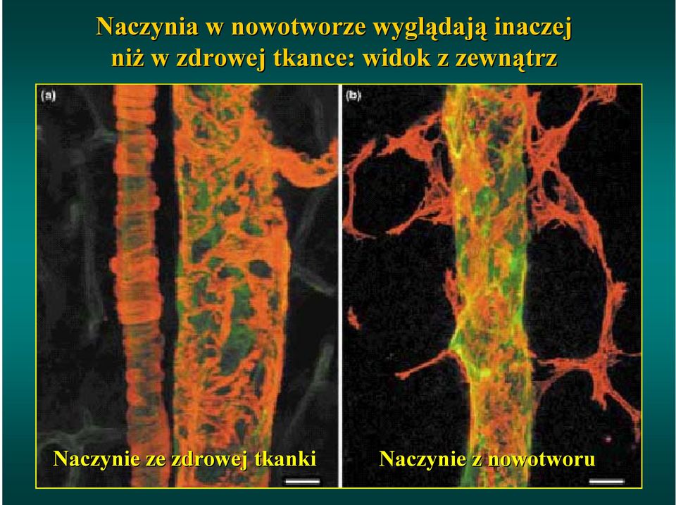 widok z zewnątrz Naczynie ze