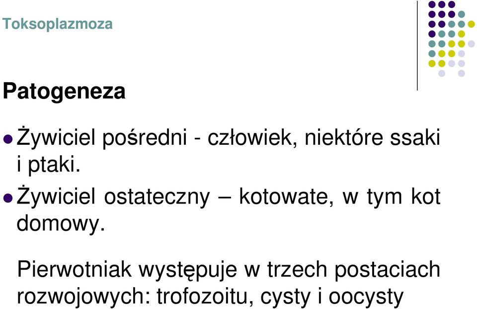 śywiciel ostateczny kotowate, w tym kot domowy.