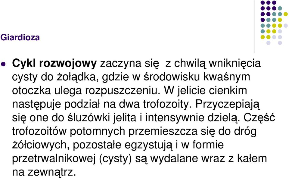 Przyczepiają się one do śluzówki jelita i intensywnie dzielą.