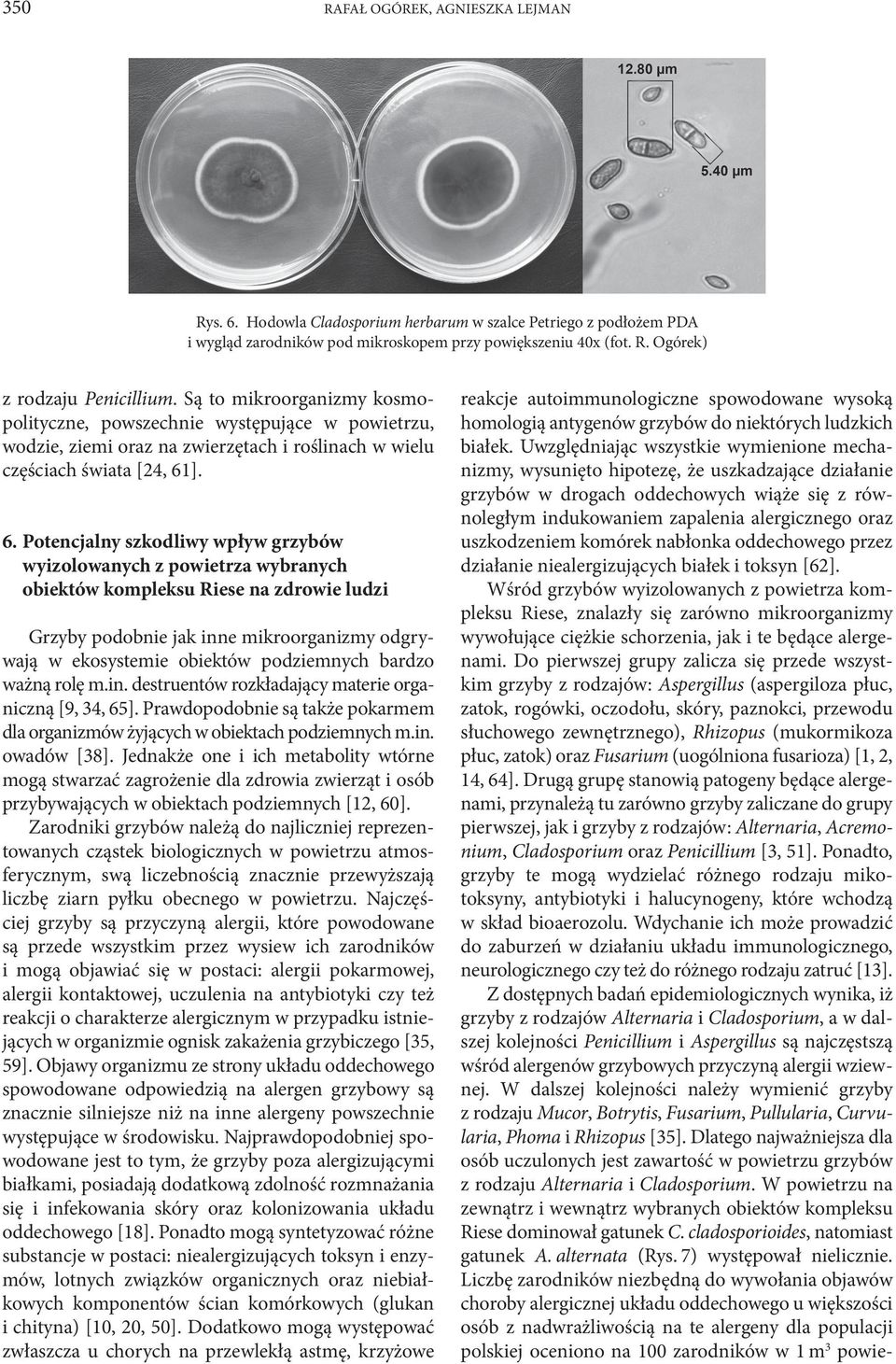 ]. 6. Potencjalny szkodliwy wpływ grzybów wyizolowanych z powietrza wybranych obiektów kompleksu Riese na zdrowie ludzi Grzyby podobnie jak inne mikroorganizmy odgrywają w ekosystemie obiektów