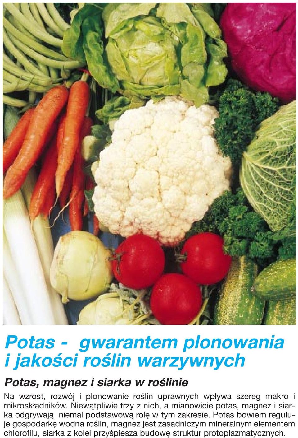 Niewątpliwie trzy z nich, a mianowicie potas, magnez i siarka odgrywają niemal podstawową rolę w tym zakresie.