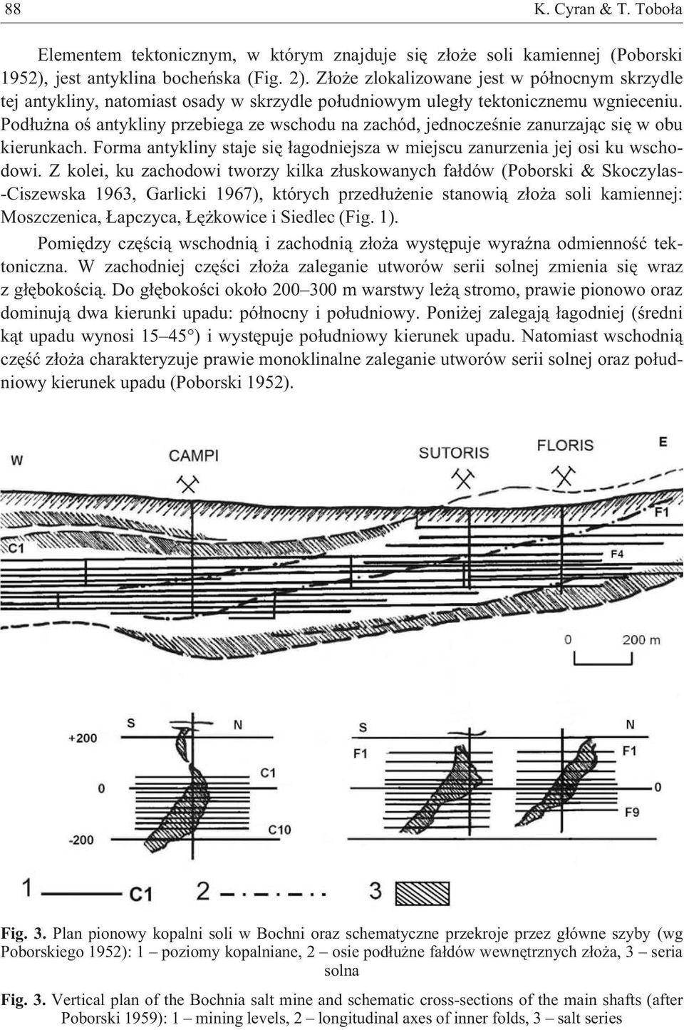 Pod³u na oœ antykliny przebiega ze wschodu na zachód, jednoczeœnie zanurzaj¹c siê w obu kierunkach. Forma antykliny staje siê ³agodniejsza w miejscu zanurzenia jej osi ku wschodowi.