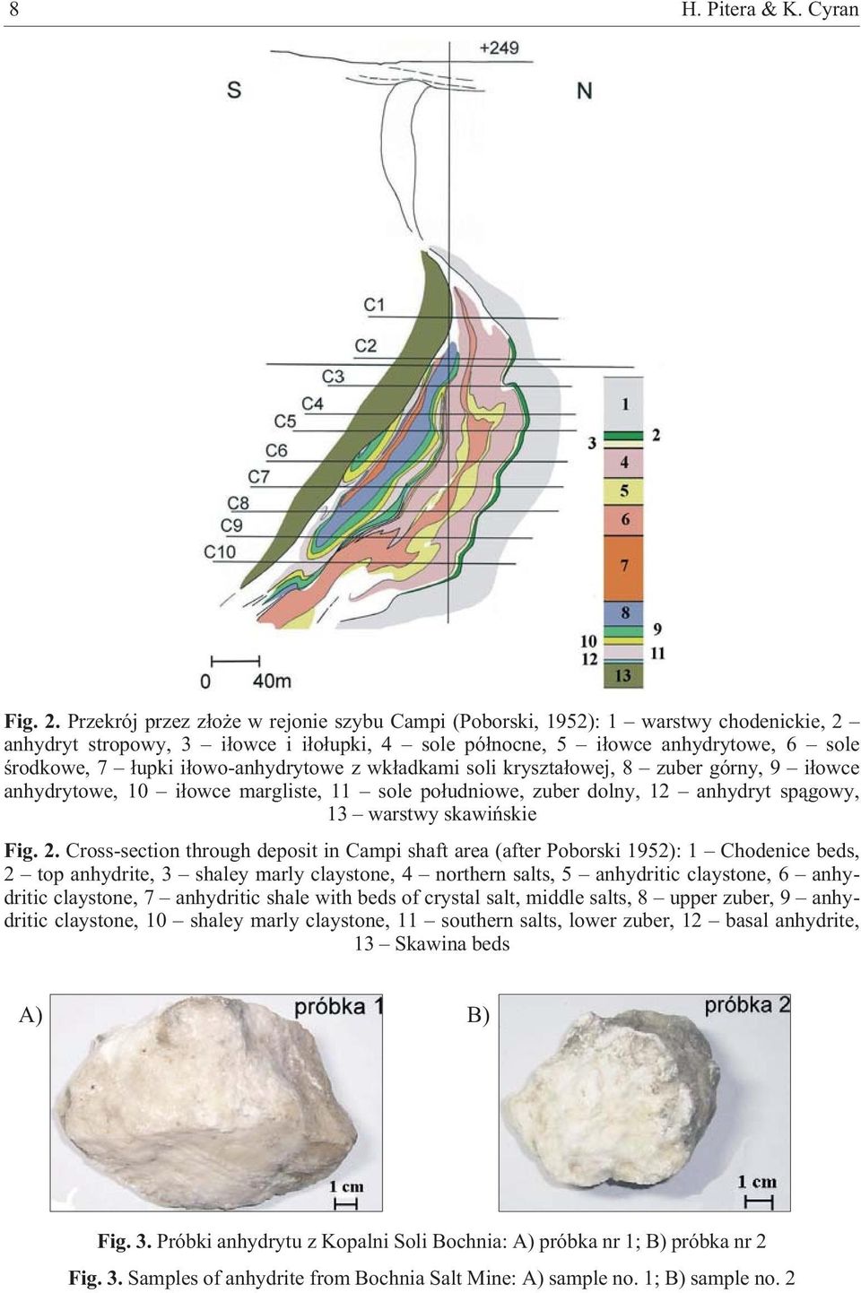 i³owo-anhydrytowe z wk³adkami soli kryszta³owej, 8 zuber górny, 9 i³owce anhydrytowe, 10 i³owce margliste, 11 sole po³udniowe, zuber dolny, 12 anhydryt sp¹gowy, 13 warstwy skawiñskie Fig. 2.