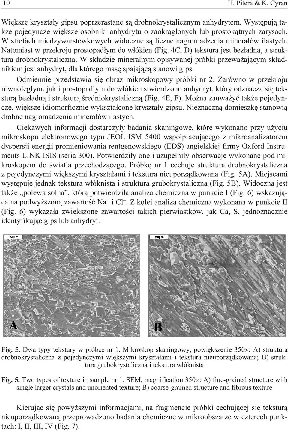 W sk³adzie mineralnym opisywanej próbki przewa aj¹cym sk³adnikiem jest anhydryt, dla którego masê spajaj¹c¹ stanowi gips. Odmiennie przedstawia siê obraz mikroskopowy próbki nr 2.