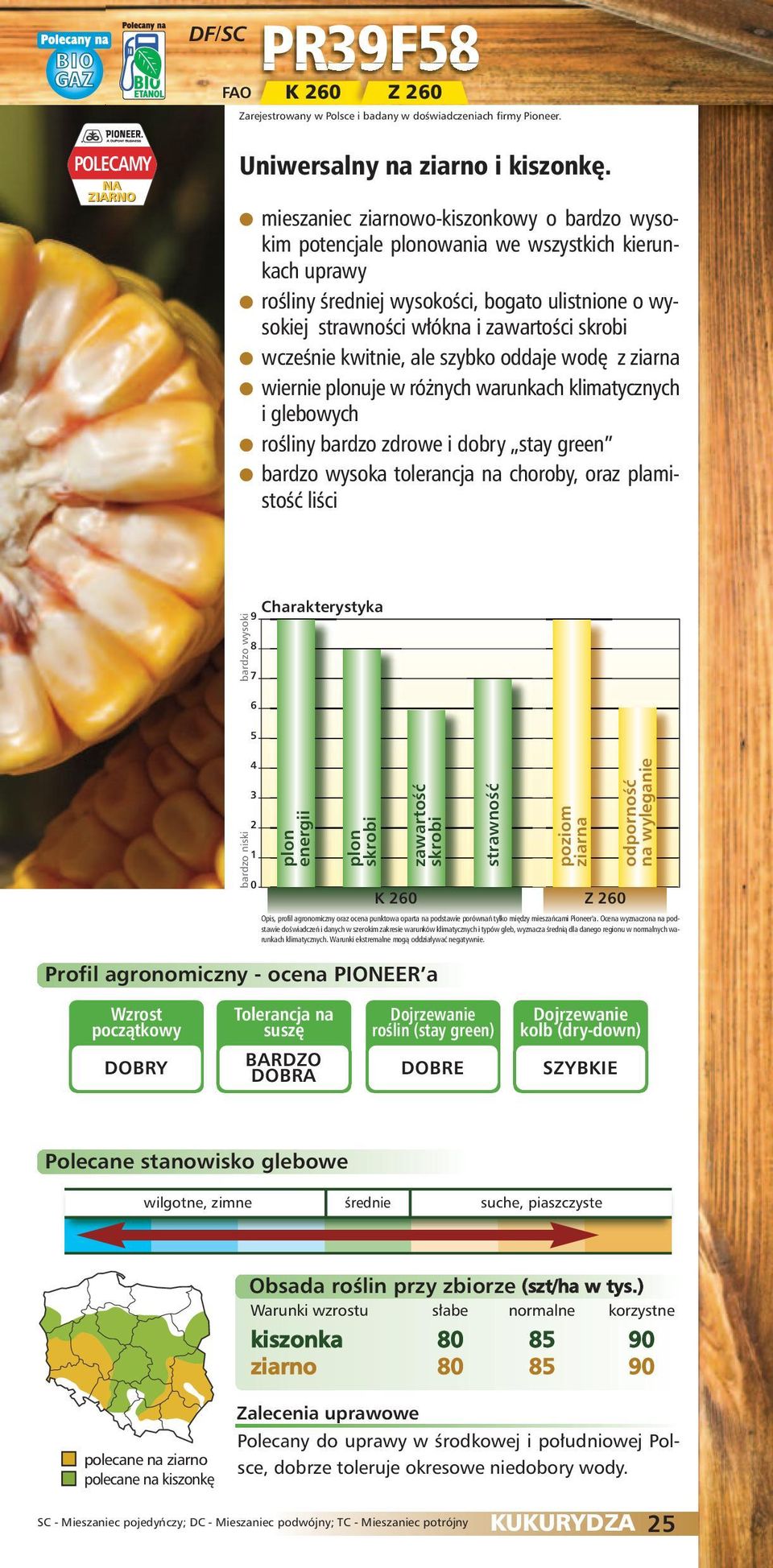 szybko oddaje wodę z wiernie uje w różnych warunkach klimatycznych i glebowych rośliny bardzo zdrowe i dobry stay green bardzo wysoka tolerancja na choroby, oraz plamistość liści K poziom Z