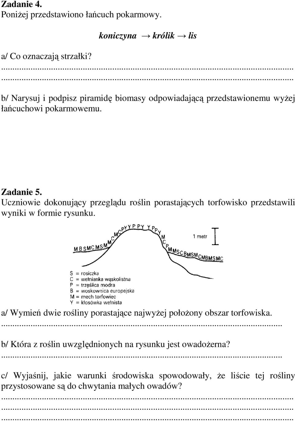 Uczniowie dokonujący przeglądu roślin porastających torfowisko przedstawili wyniki w formie rysunku.