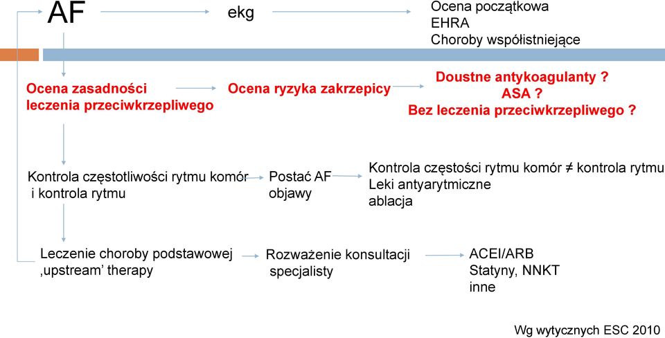 Kontrola częstotliwości rytmu komór i kontrola rytmu Postać AF objawy Kontrola częstości rytmu komór kontrola